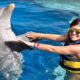 Dolphin Discovery Punta Cana