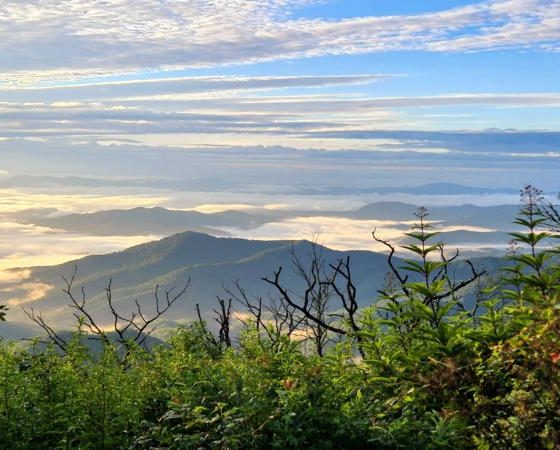 Hiking - Views On The At